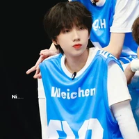 Nhiếp Vĩ Thần (anh)