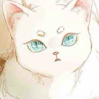 [Hệ thống] Shiro 