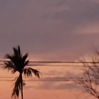 all