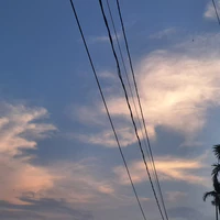 tác giả xàm lon