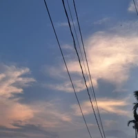 tác giả xàm lon