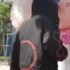 Error sans 606 Fell