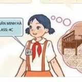Hà