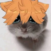 năm nhất (- Yachi )