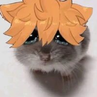 năm nhất ( - Yachi Hinata)