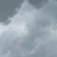 T/g trong sáng✨✨✨