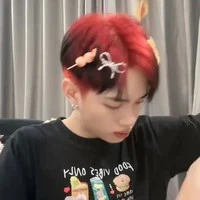 Nguyễn Thanh Pháp (pháp kiều)