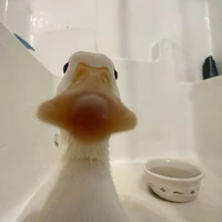 ng tình mùa đông