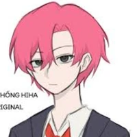 TT hiha