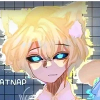 hiha anti catnap