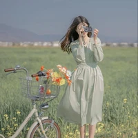 Trần Nguyễn Ánh Dung