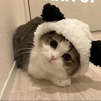 bot