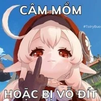 nvp