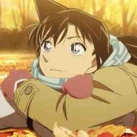 Mori Ran