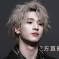 Nghiêm Hạo Tường