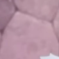 Nhân vật bí ẩn