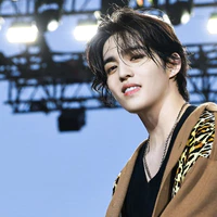 Choi SeungCheol_S.Coups