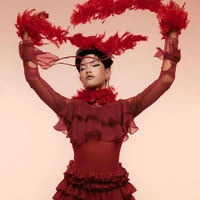 Nguyễn Thanh Pháp( pháp kiều)