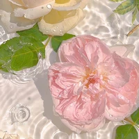 All bot trừ ai thì trừ