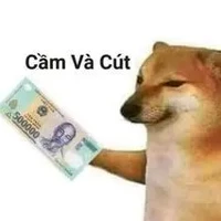 Chemss_hệ thống_