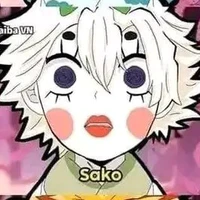 hth596(sanko)