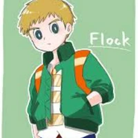 flock