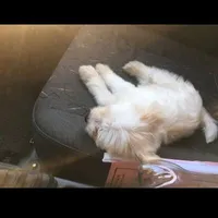 🖇️𝙨𝙤𝙘𝙗𝙞𝙣