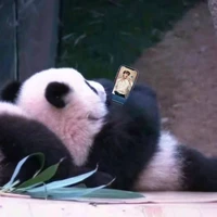 all -trừ ai thì trừ-