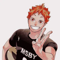 Hinata Shouyou (timeskip)