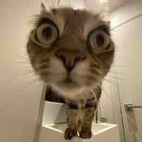 T/g ngứa mary 🦋