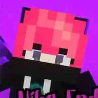 hiha enderman