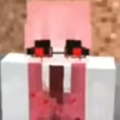 h1h1