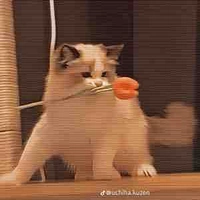 Tất cả mọi người