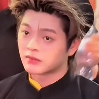 Nguyễn Quang Anh (anh)