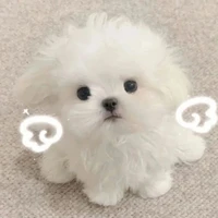 Alltop [Trừ ai thì trừ]