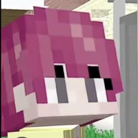 ST_Hiha