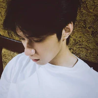 Lưu Diệu Văn