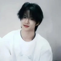 Lưu Diệu Văn