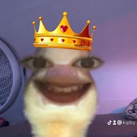 Tắc kè gâu gâu