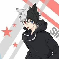 siro