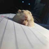 Nhân Vật Quần chúng