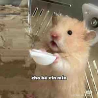 Tác giả ngoài lề =))))