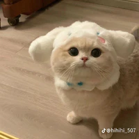 all bot trừ ai thì trừ