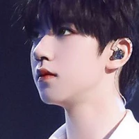 Hạ Tuấn Lâm
