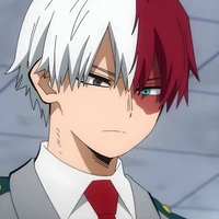 Todoroki Shouto |Shoto|