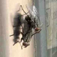 nhỏ t/g bị bíiiiiii ❤️‍🩹