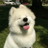 ？？？