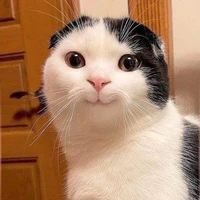Nic