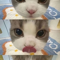 Tgiả siu cutee !