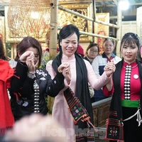 Phan Thị Thanh Tâm